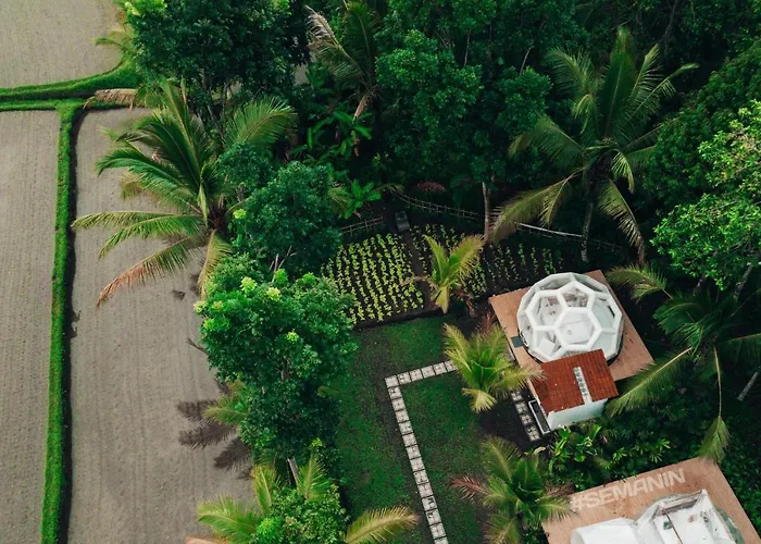 Jungle Bubble Lodge