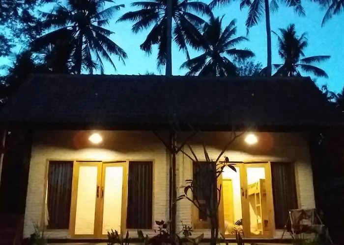 Jungle House - Surf & Stay