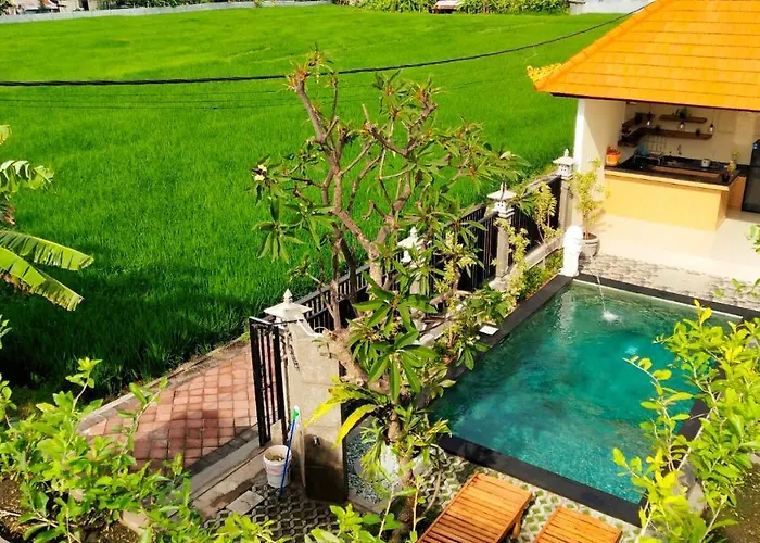 Umah Dangin Guesthouse Munggu