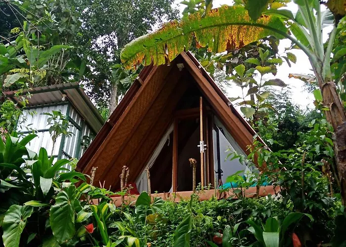 Eco Bedugul Adventurer Camp