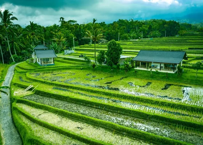 Kubu D'Ume Homestay