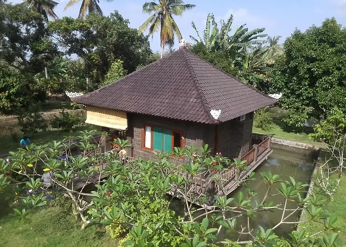 Natural Lodge 1