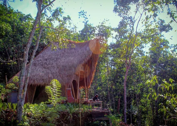 Hidden Bamboo House