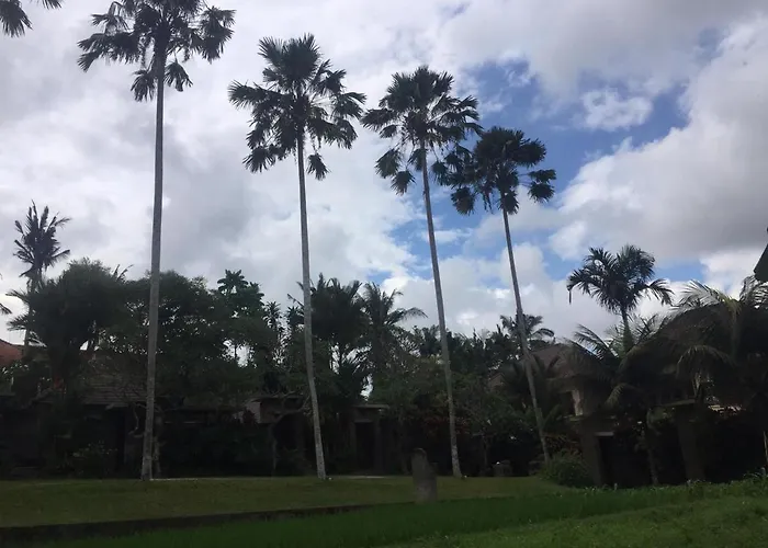 Asri Sari Villa Ubud