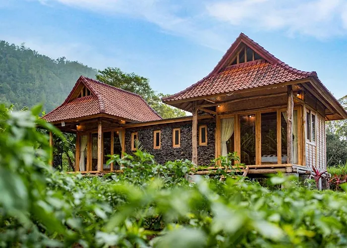 Pondok Manoka
