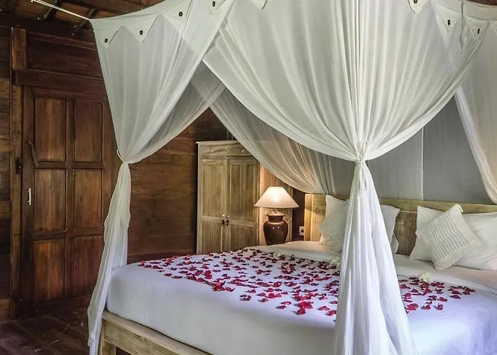 Ddjungle Villa
