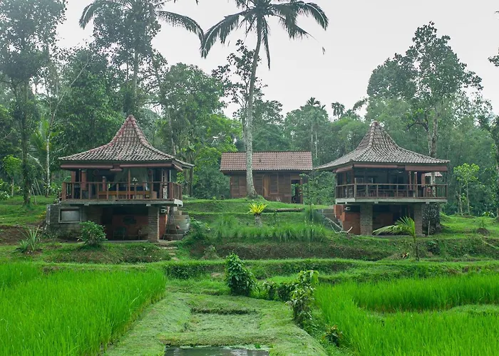 Tepi Sawah Lodge & Retreat