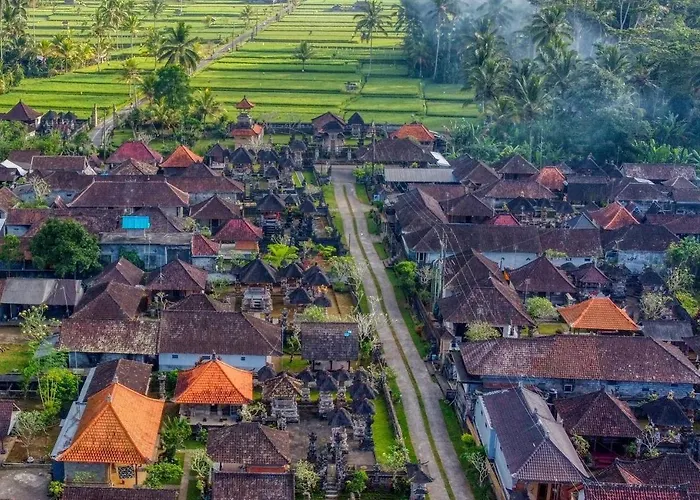 Rural Atmosphere At Bali Coconut House In Delodsema Village