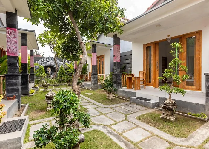 The Box House
