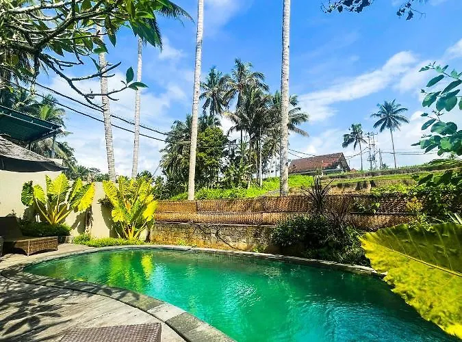 Villa Suci By Di Ubud