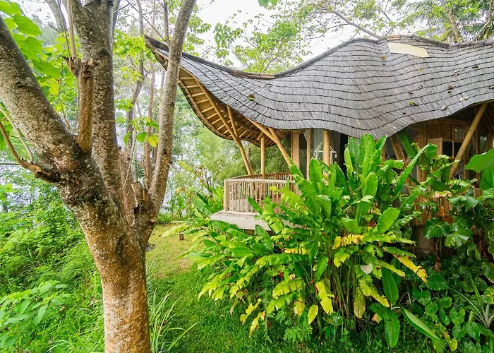 Bird Hills Bamboo House