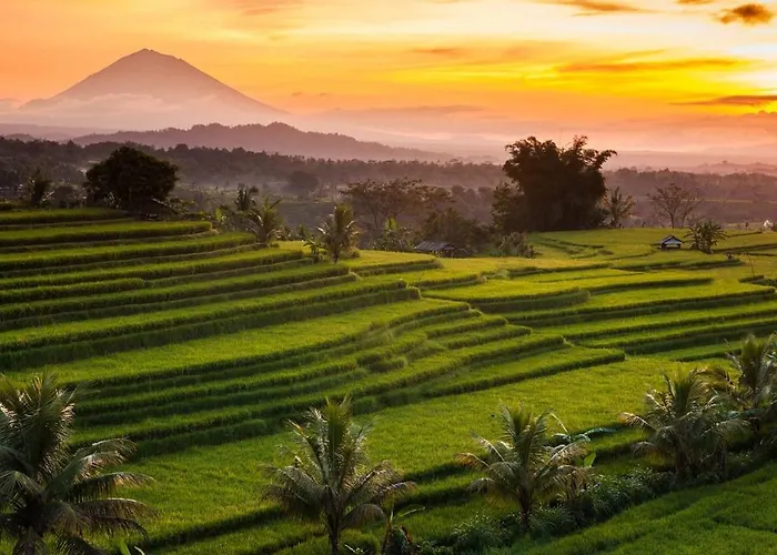Kubu Pinge