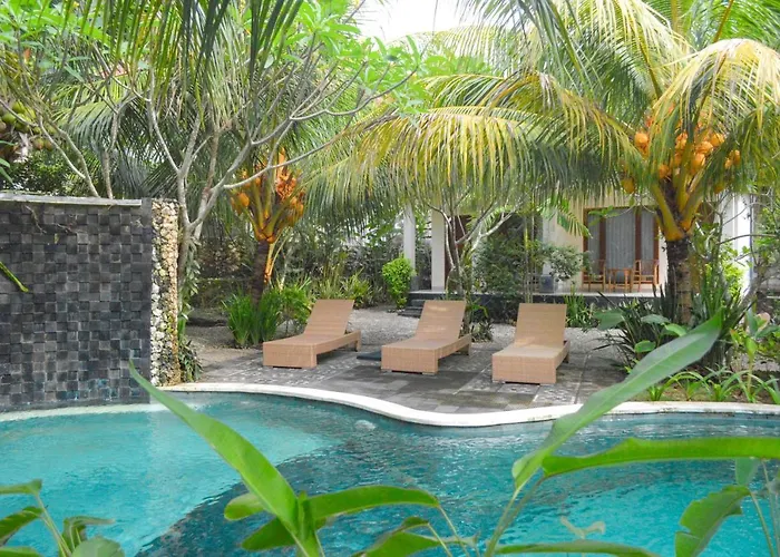Tarzan Marriott On Penida