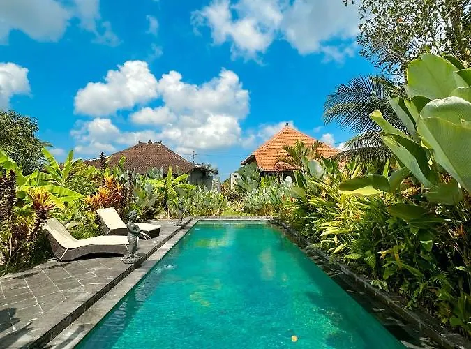 Paddy House Ubud