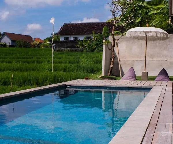 Backyard Canggu