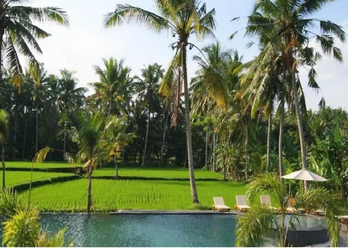 Ubud Rice Field View 1 Bedroom Private Pool Villa By Brs