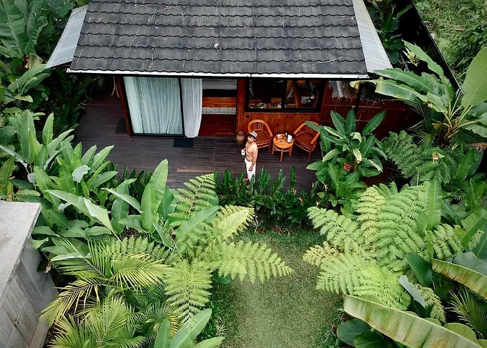 Kabinji Bali