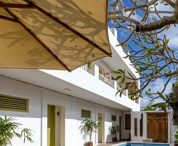 Honu Studio Living