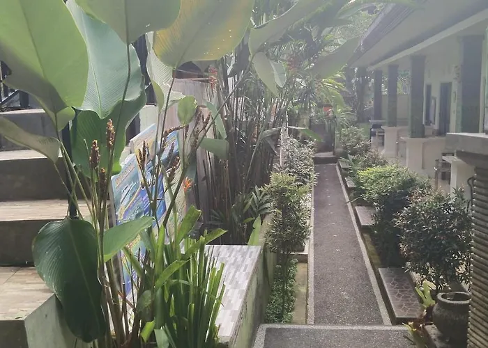 Greenview Jungleriver View