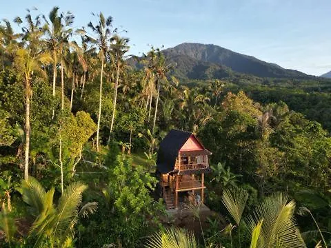 Bali Jungle Cabin
