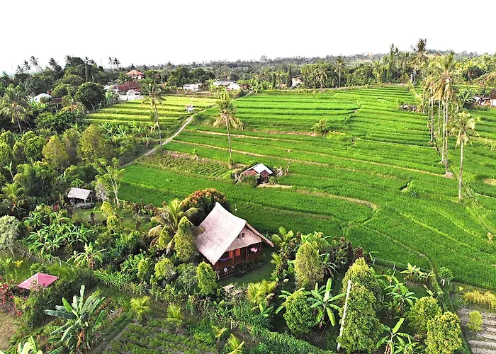 Cute Eco Cottage Near 7 Waterfalls