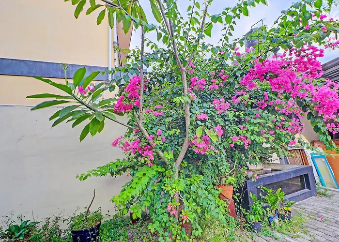 Guest House Simalem