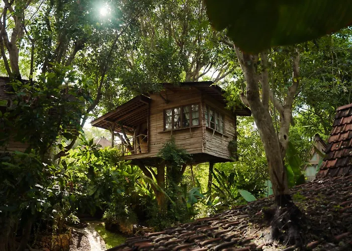 Roots Tree House - Boutique Hotel - Uluwatu