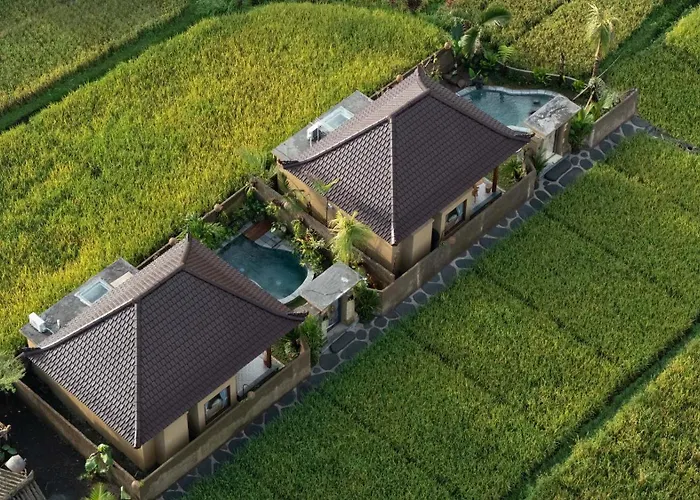 Sawah Sebatu Villa