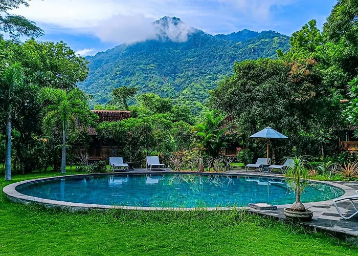 Alaya Ecolodge