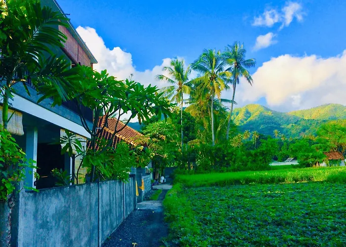 D'Uma Amed Homestay