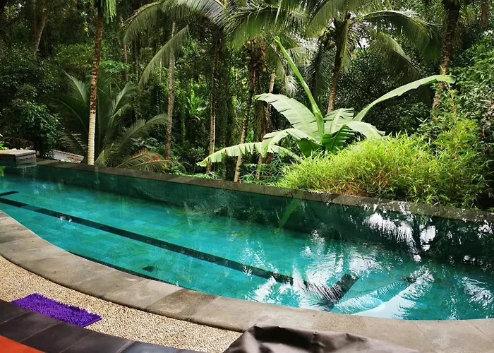 Little Jungle