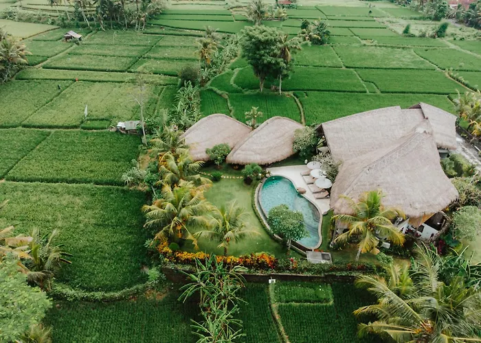 Villa Omah Padi Ubud By Adam Jyota Management