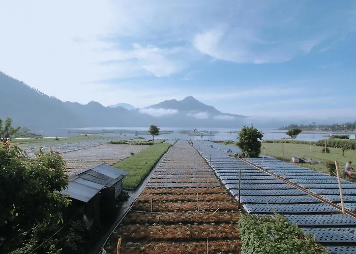 Lake Batur Cabin