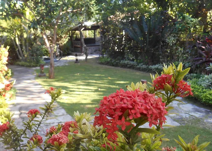 Taman Menjangan Homestay By Snorkelingmenjangan