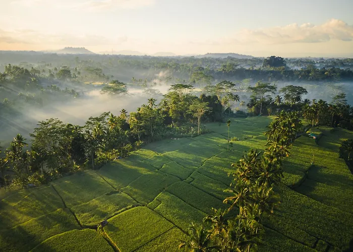 Ubud Mas Glamping Luxury Tent