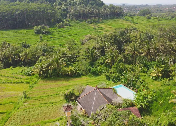 Villa Dandan Bukit