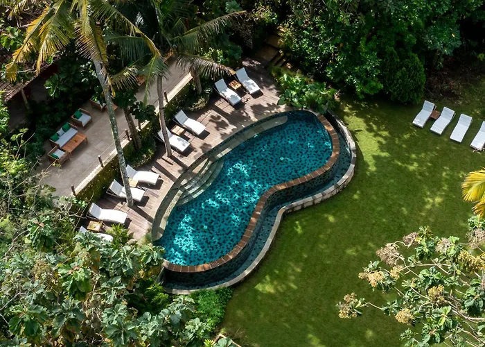 The Mesare Jungle Resort