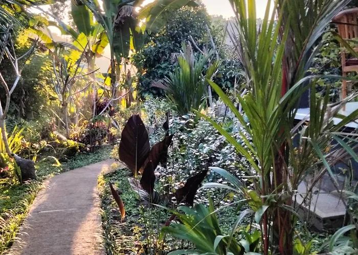 Buntera Homestay Sidemen