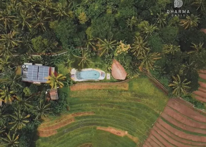 Dharma Oasis