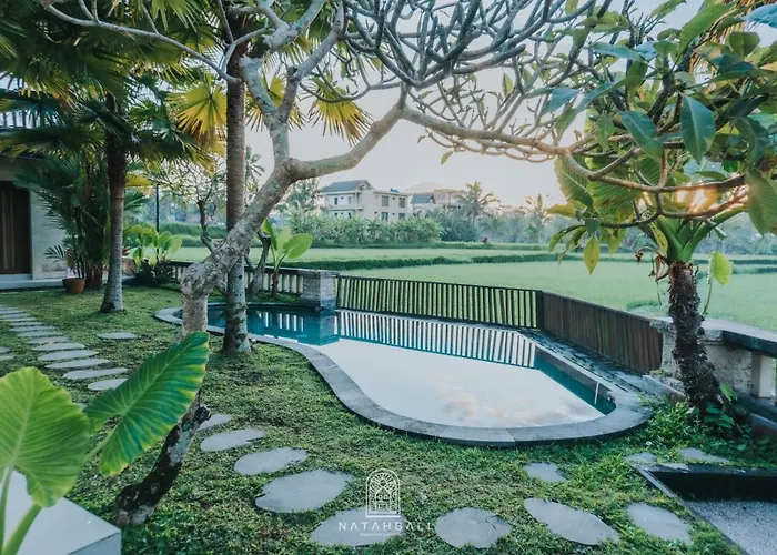 The Paddies Villa #1