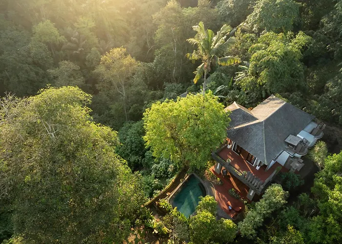 Villa Leona Valley View Ubud