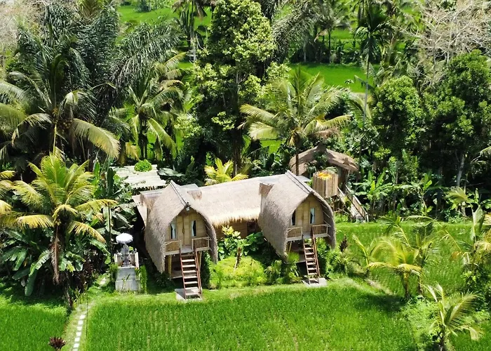 Kawig Bamboo House - Ricefield View, Eco Bamboo Home