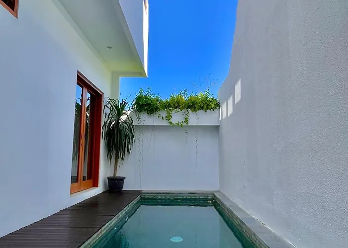 Casa White