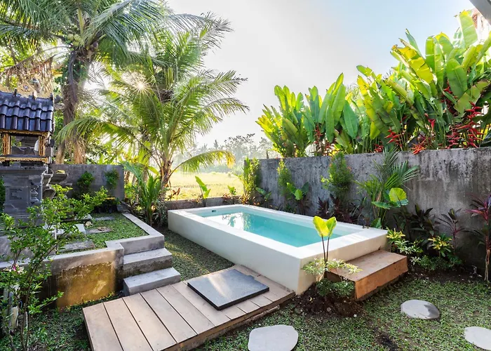 Parafrutts Classic Ubud Private Rooms With Pool In The Heart Of Ubud