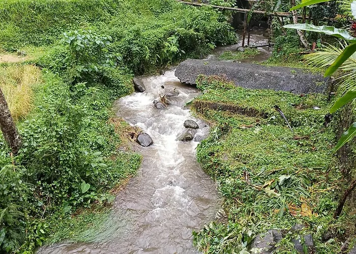 Bucu Riverside