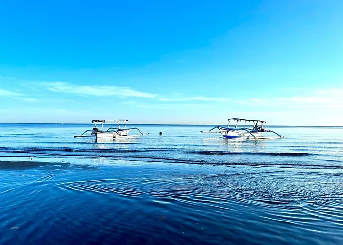 Dolphin Tour Private Villa Packet At Seririt