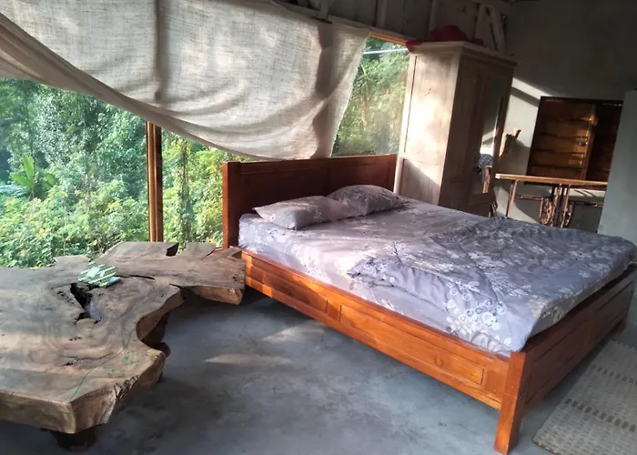 Jungle Therapy Mayong