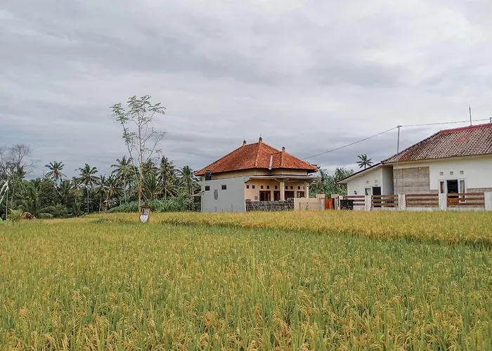 Maha House Mid Of Ricefields