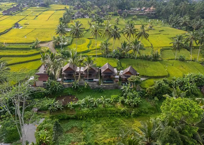 Moonterra Villa Ubud By Dhananjaya Hospitality