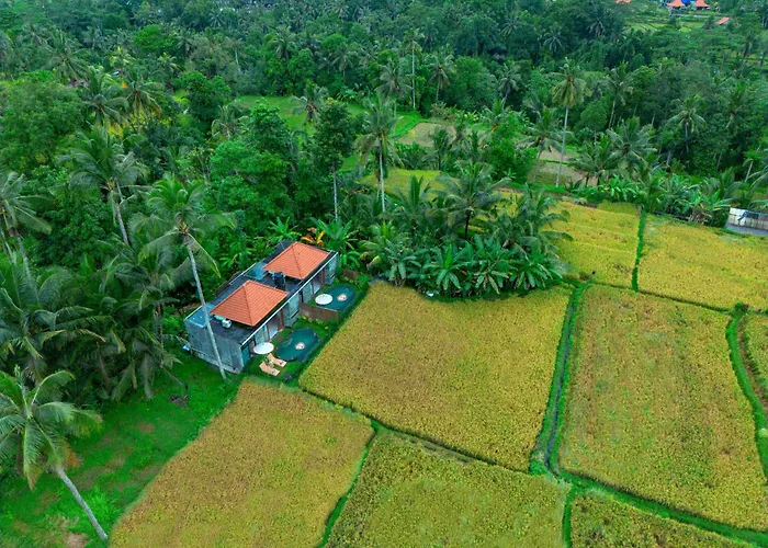 The Alus Cottage And Villa